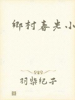 乡村春光小说