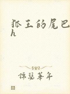 狐王的尾巴高ah