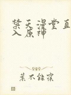 禁天漫堂直接进入原神