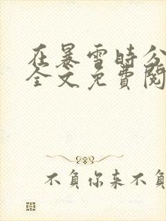 在暴雪时分小说全文免费阅读