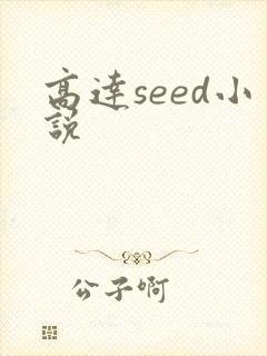 高达seed小说