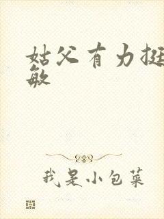 姑父有力挺送赵敏