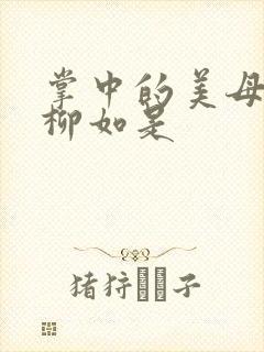 掌中的美母版主柳如是