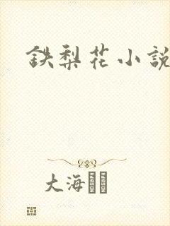 铁梨花小说