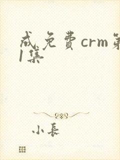 成免费crm第1集封面