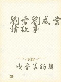 刘雪刘成当代爱情故事封面