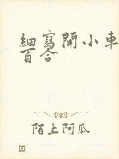 细写开小车车的百合
