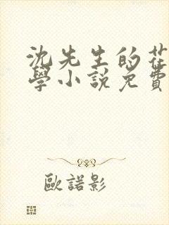 沈先生的花式教学小说免费