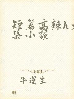 短篇高辣h文合集小说封面