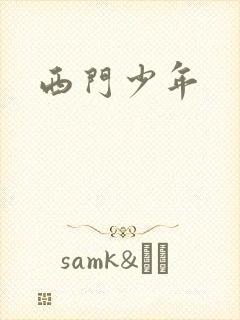 西门少年封面