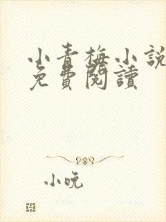 小青梅小说全文免费阅读