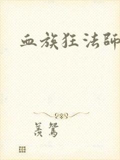 血族狂法师封面