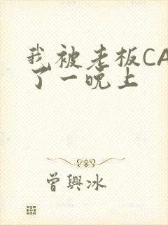 我被老板CAO了一晚上