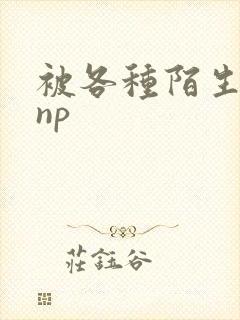 被各种陌生人 np