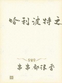 哈利波特之守护