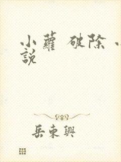 小萝 破除 小说