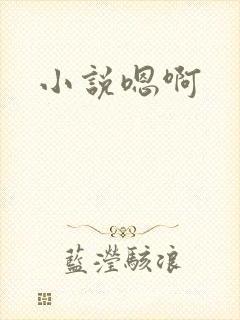 小说嗯啊