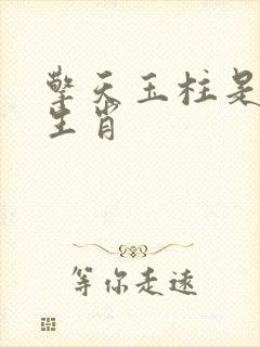 擎天玉柱是什么生肖