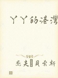 丫丫的港湾封面