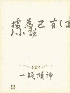 据为己有(高干)小说封面