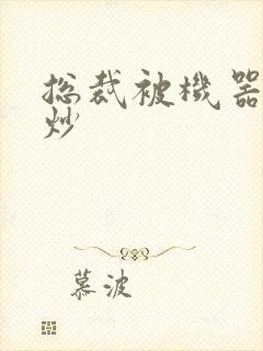 总裁被机器人爆炒封面