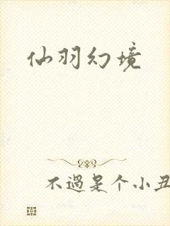 仙羽幻境封面