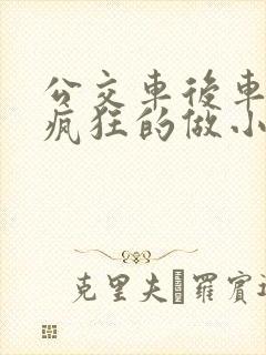 公交车后车座的疯狂的做小