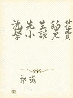 沈先生的花式教学小说免费封面