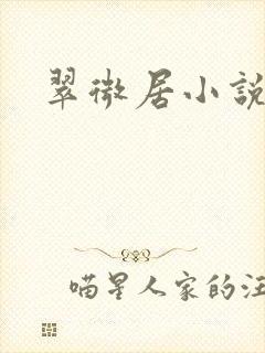 翠微居小说封面