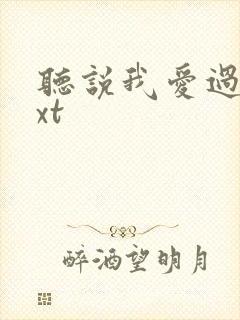 听说我爱过你txt