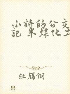 小诗的公交车日记 半煤化工
