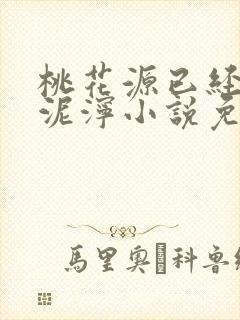 桃花源已经一片泥泞小说免费封面