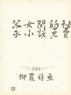 父女间的秘密赵永小说免费阅读封面