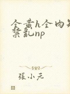 全黄h全肉短篇禁乱np封面