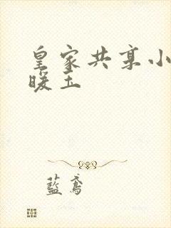 皇家共享小公主暖玉