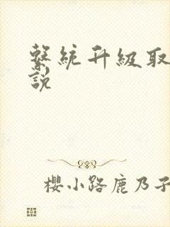 系统升级取液小说封面