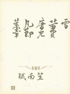 叶凡唐若雪最新章节免费封面