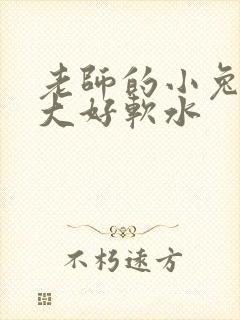 老师的小兔子好大好软水
