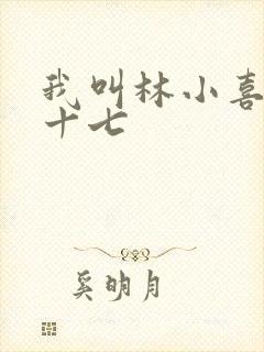 我叫林小喜今年十七封面