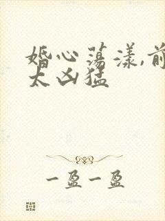 婚心荡漾,前夫太凶猛