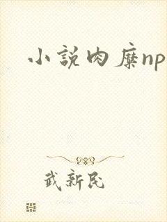 小说肉糜np封面