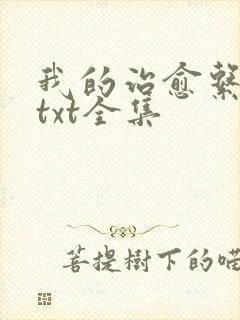 我的治愈系游戏txt全集封面