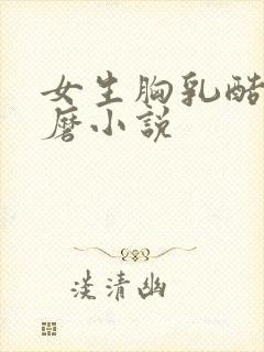 女生胸乳酷刑折磨小说封面