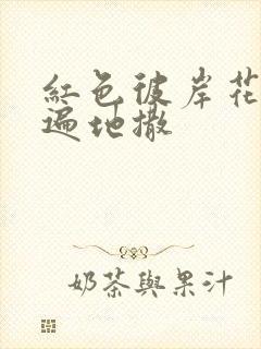 红色彼岸花花瓣遍地撒