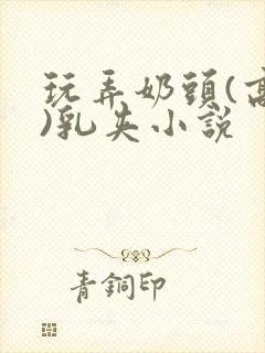 玩弄奶头(高h)乳夹小说