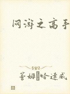 网游之高手寂寞