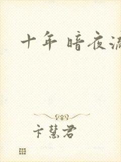 十年 暗夜流光封面