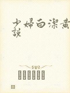 少妇白洁黄色小说