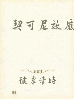 契可尼效应封面