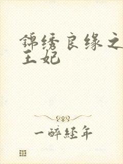 锦绣良缘之北地王妃